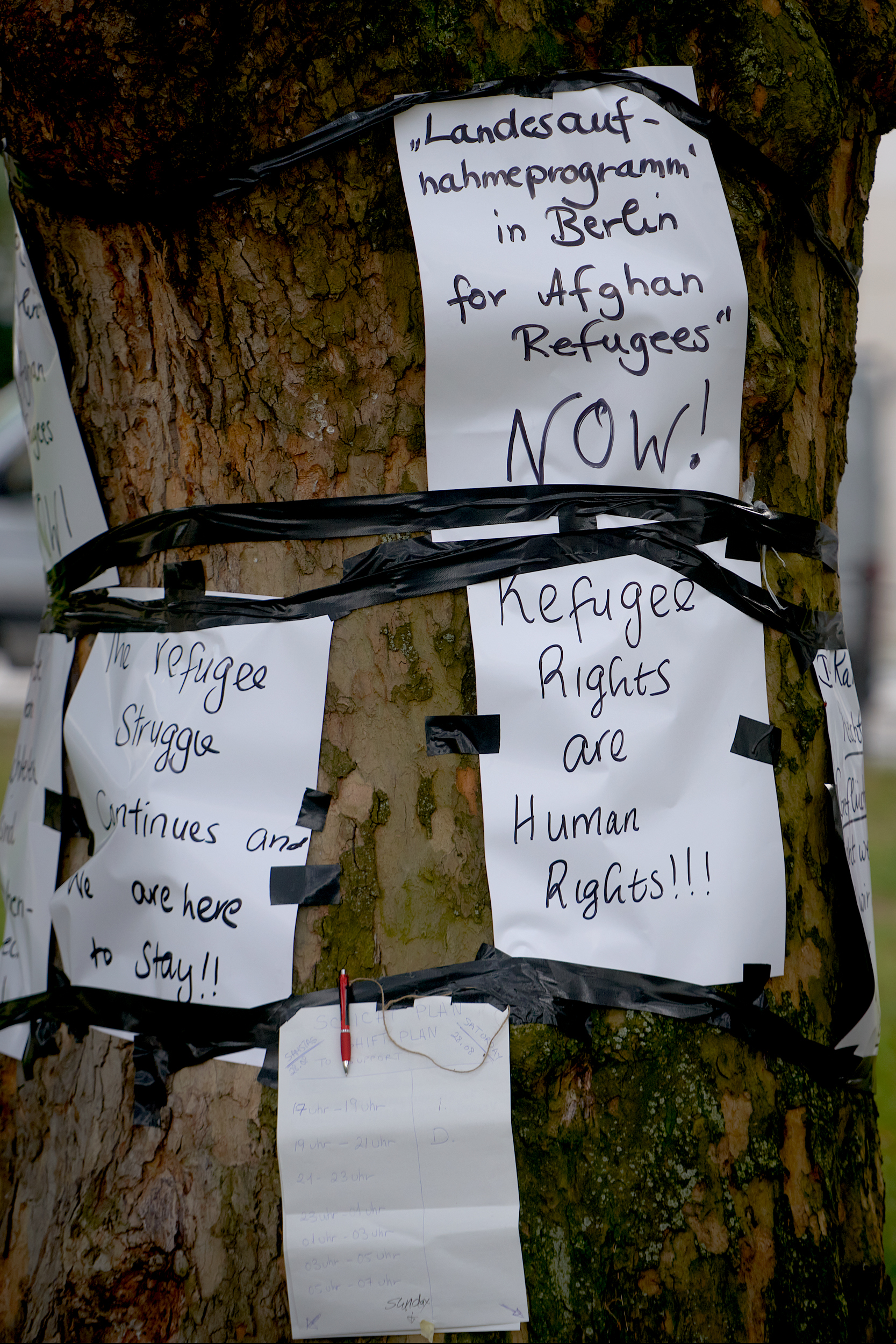 M20210828D_Womenonthetree0007